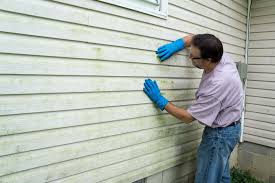 Best Fiber Cement Siding Installation  in Burkburnett, TX